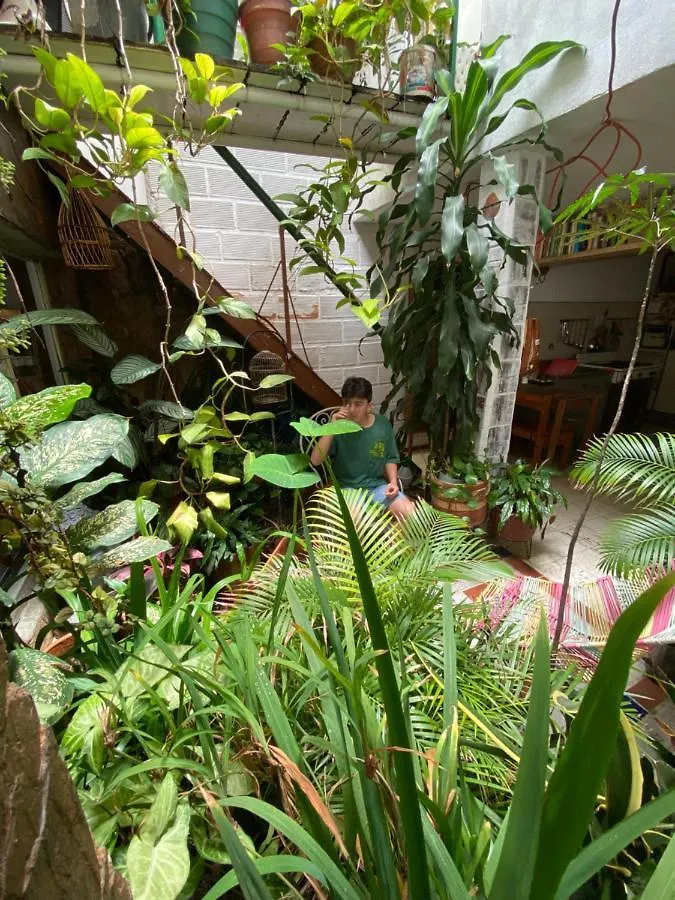 Hostal Casa Las Tías Medellín